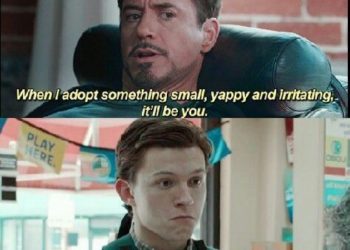 1596156659 Most Impressed Avengers Memes Love You 3000