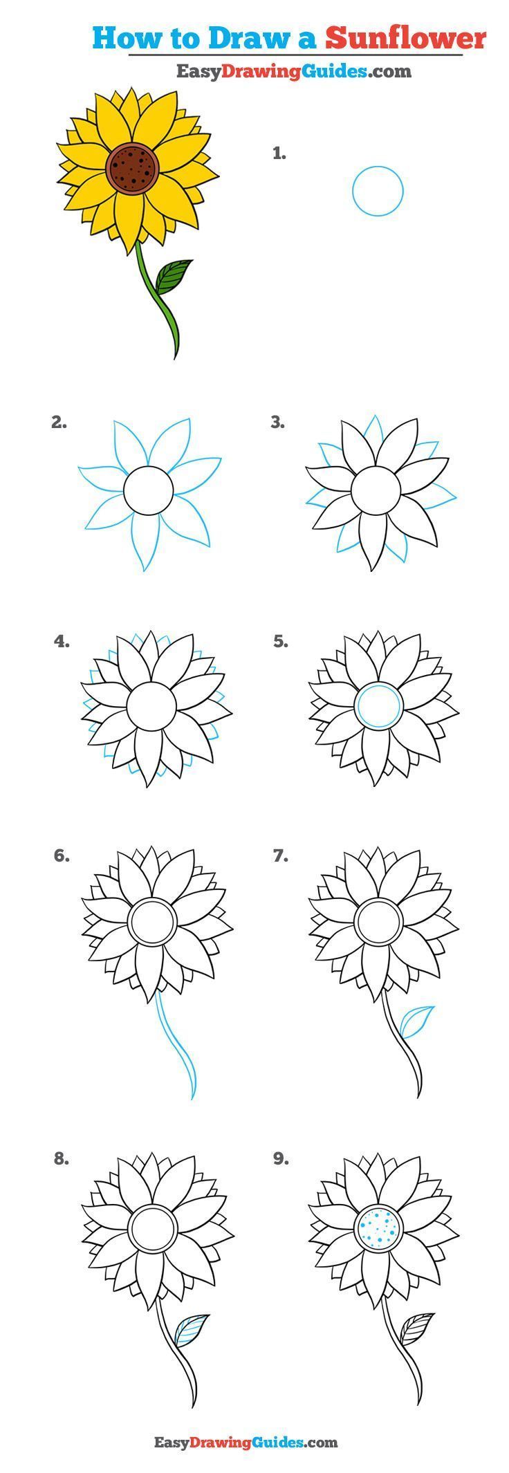 How To Draw A Tulip - Easy Step By Step Drawing Tutorial For