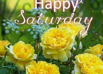 1596403417 Good Morning Happy Saturday