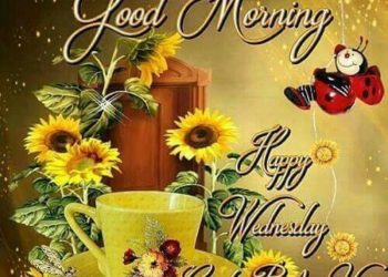 1597380967 Good Morning Happy Wednesday