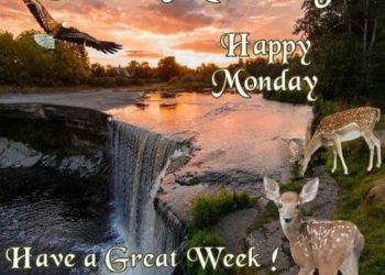 1597394795 Good Morning Happy Monday