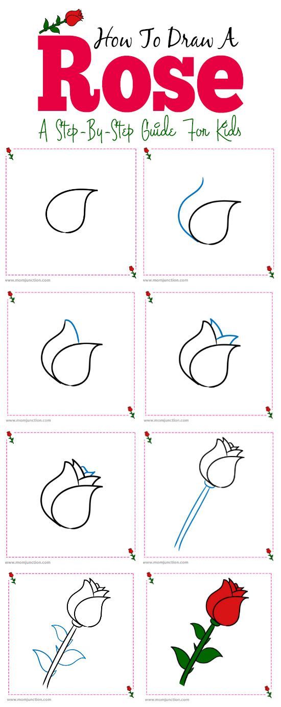 How To Draw A Rose Easy StepbyStep Guide 2024
