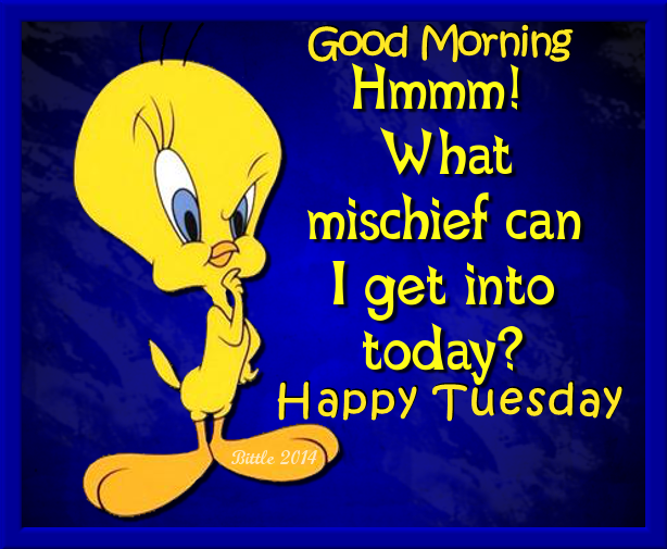 Good Morning Tuesday 2024 - Cassi Cynthie