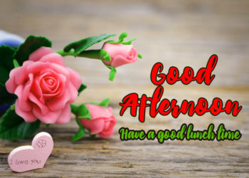 Good Afternoon Wallpapers 1080P Hd Best Pictures, Images &Amp; Photos