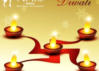 Wish You Very Happy Diwali