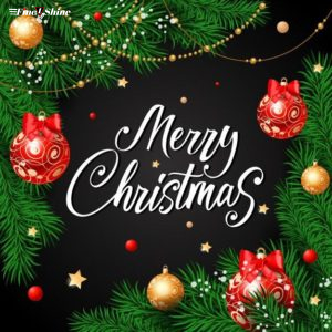 Beautiful Merry Christmas Images 5