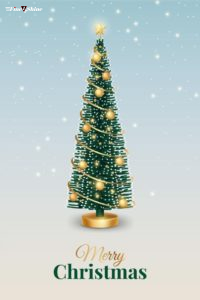 Christmas Tree Images 2