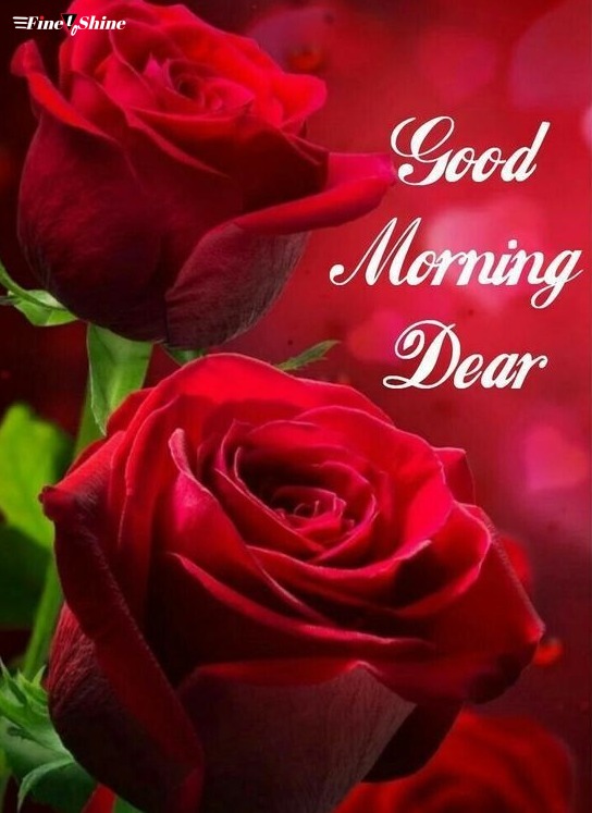 Good Morning Dear wpp1632543349946 Good Morning Dear wpp1632543349946