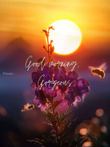 Good Morning Images Full Hd 2