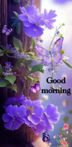 Good Morning Images Full Hd 3