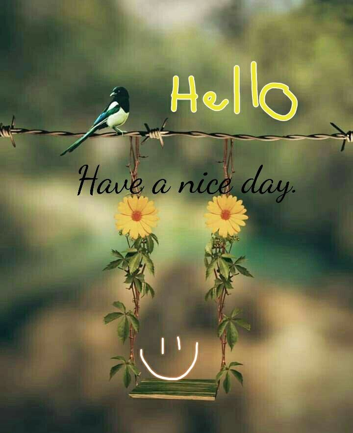 Good Morning Nice Day Wallpaper