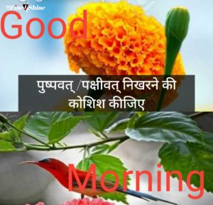 Good Morning Quotes in Hindi 19