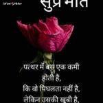 Good Morning Image With Quote In Hindi