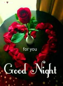 Good Night Image With Love 8