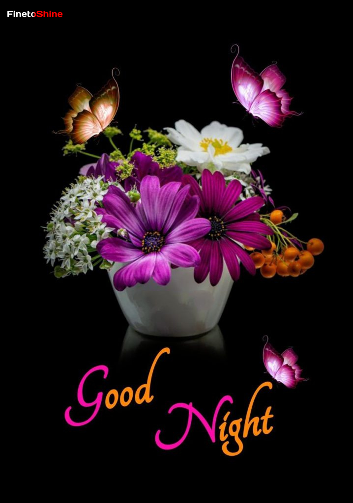 GoodNight Images 2 GoodNight Images 2