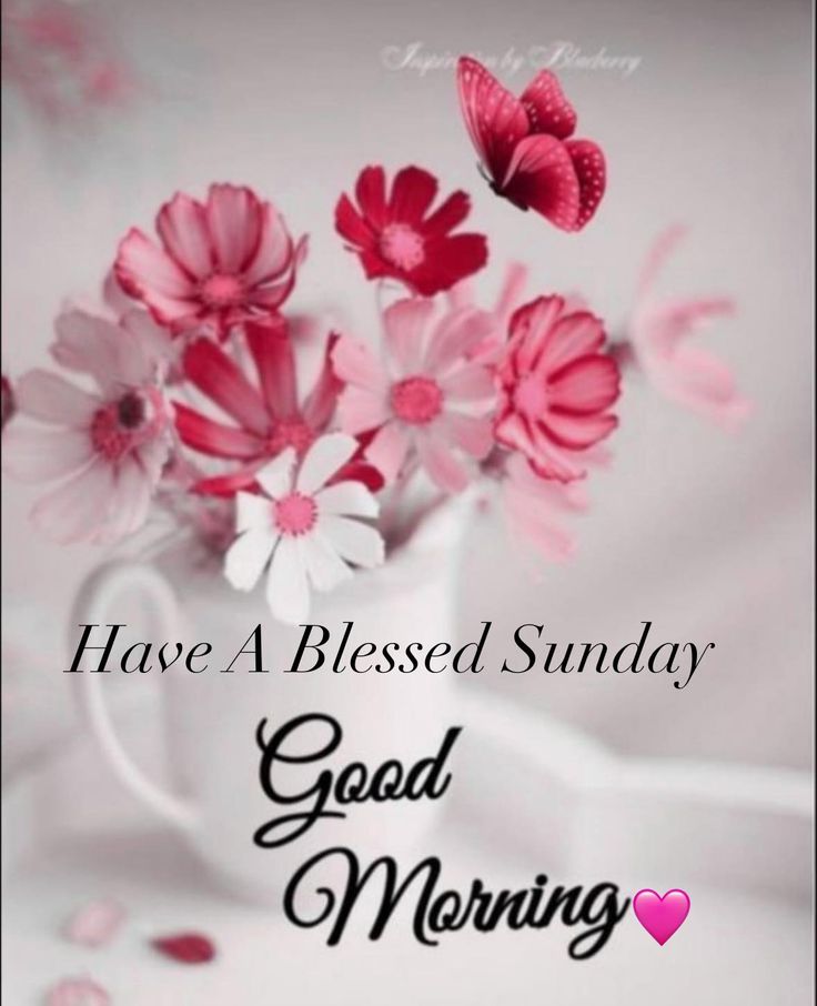 Have A Blessed Sunday Image 12