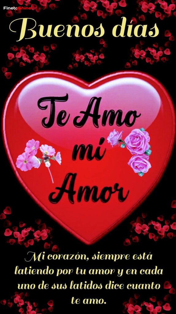 Imagenes de Amor 1 1 Imagenes de Amor 1 1