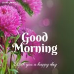 New Good Morning Images Hd 1