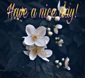 Nice Day Wallpaper 1