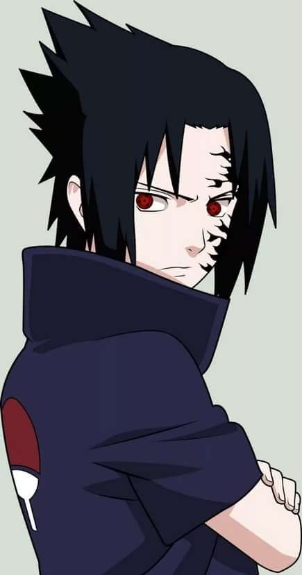 Sasuke Picture 10