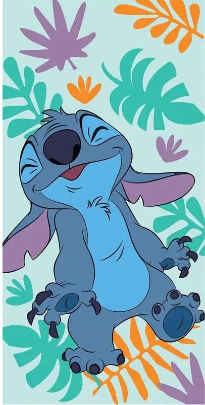 Stitch Picture 11