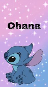 Stitch Picture 12