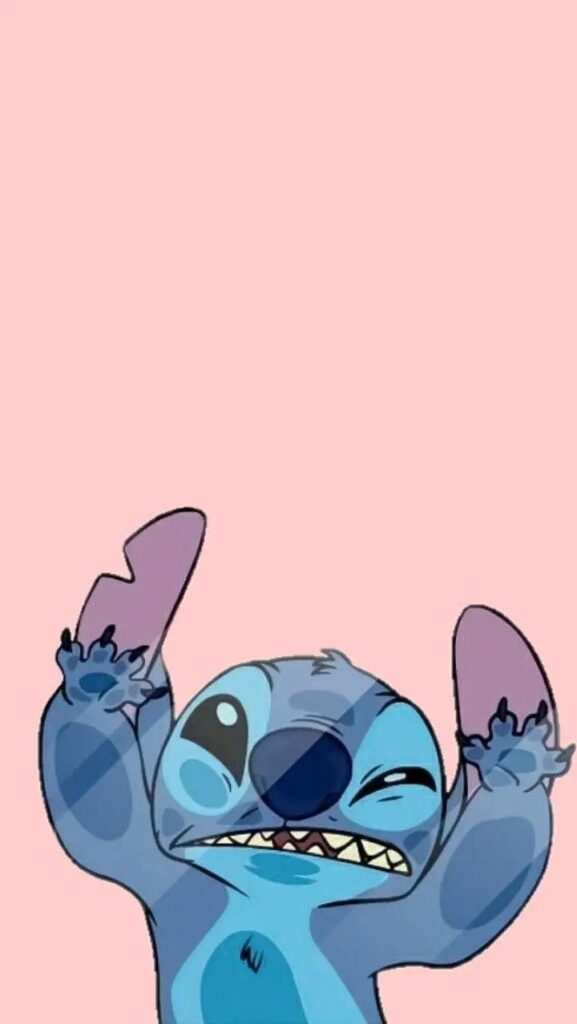 Stitch Picture 13