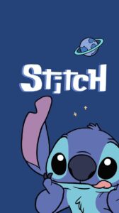 Stitch Picture 15