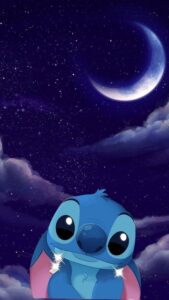 Stitch Picture 17