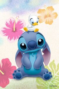 Stitch Picture 18