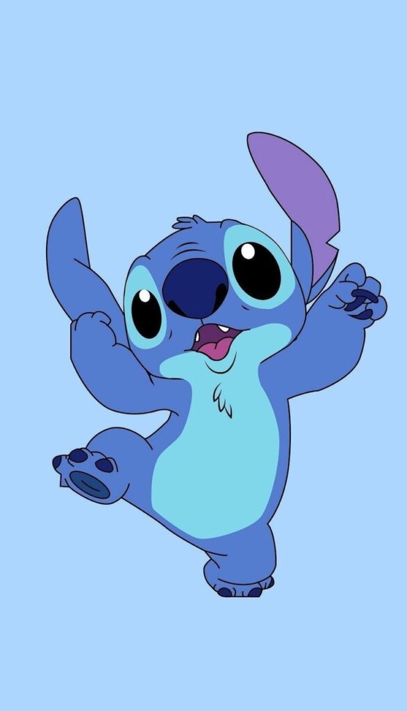 Stitch Picture 21