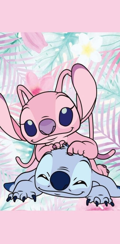 Stitch Picture 28