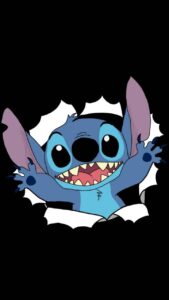 Stitch Picture 30