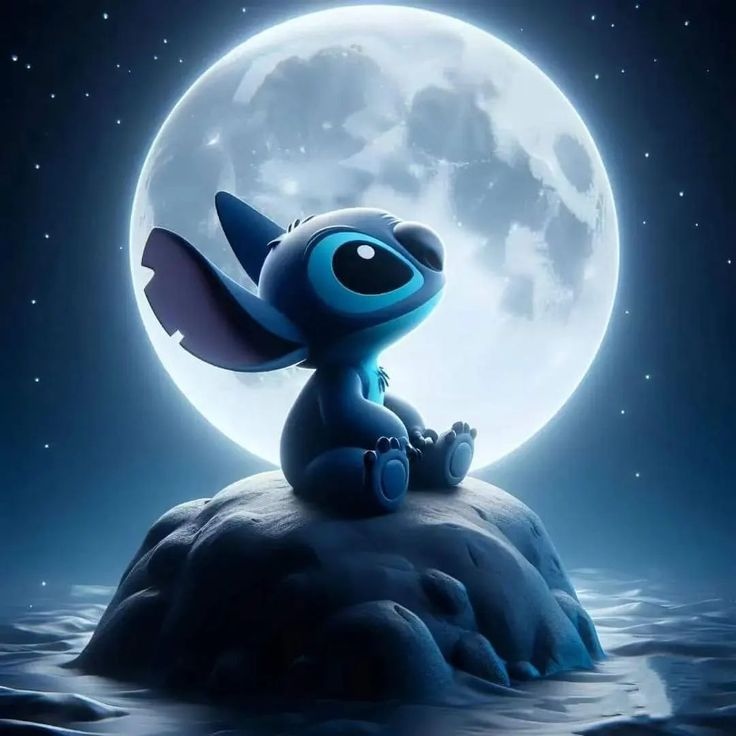 Stitch Picture 32