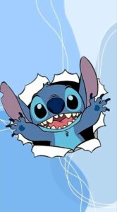 Stitch Picture 9