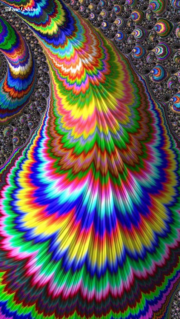 wallpaper hd wallpaper hd